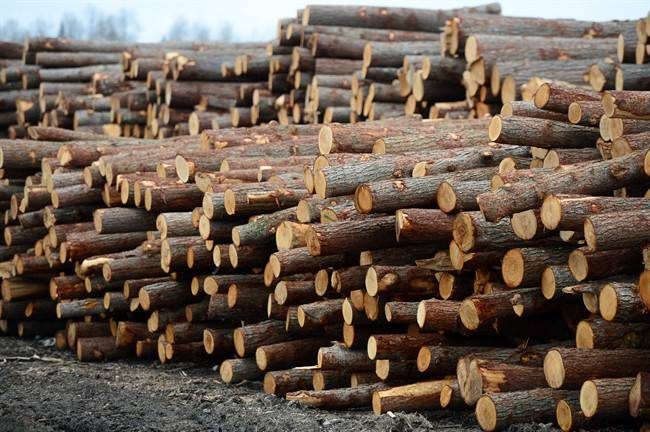Logs are stacked at Murray Brothers Lumber Company woodlot in Madawaska, Ont. on Tuesday April 25, 2017.