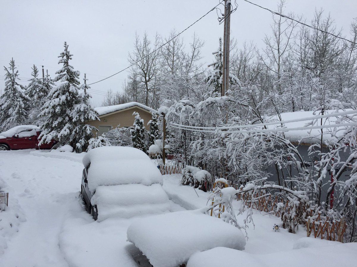 Environment Canada's Winter Weather Forecast 2020-2021 - Chatelaine