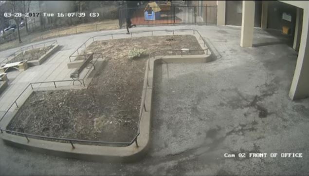 Security camera images captured on March 28 show a shooting suspect outside building at Augusta Square.