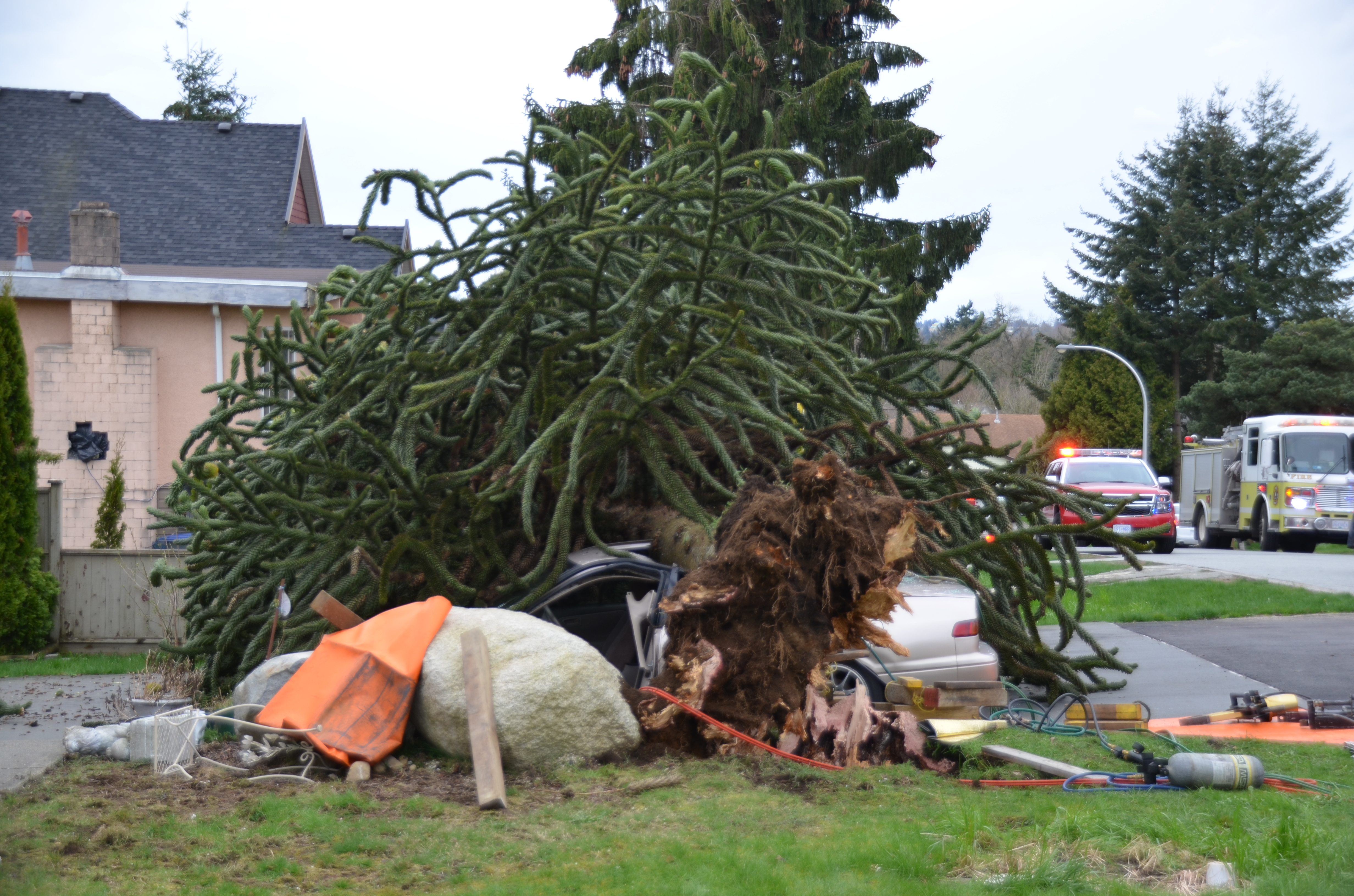 Up To 100 Km/h Wind Storm Slams Into B.C. South Coast - BC | Globalnews.ca