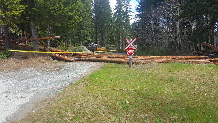 Some of the load lost by a train near Woss Lake on April 20, 2017.