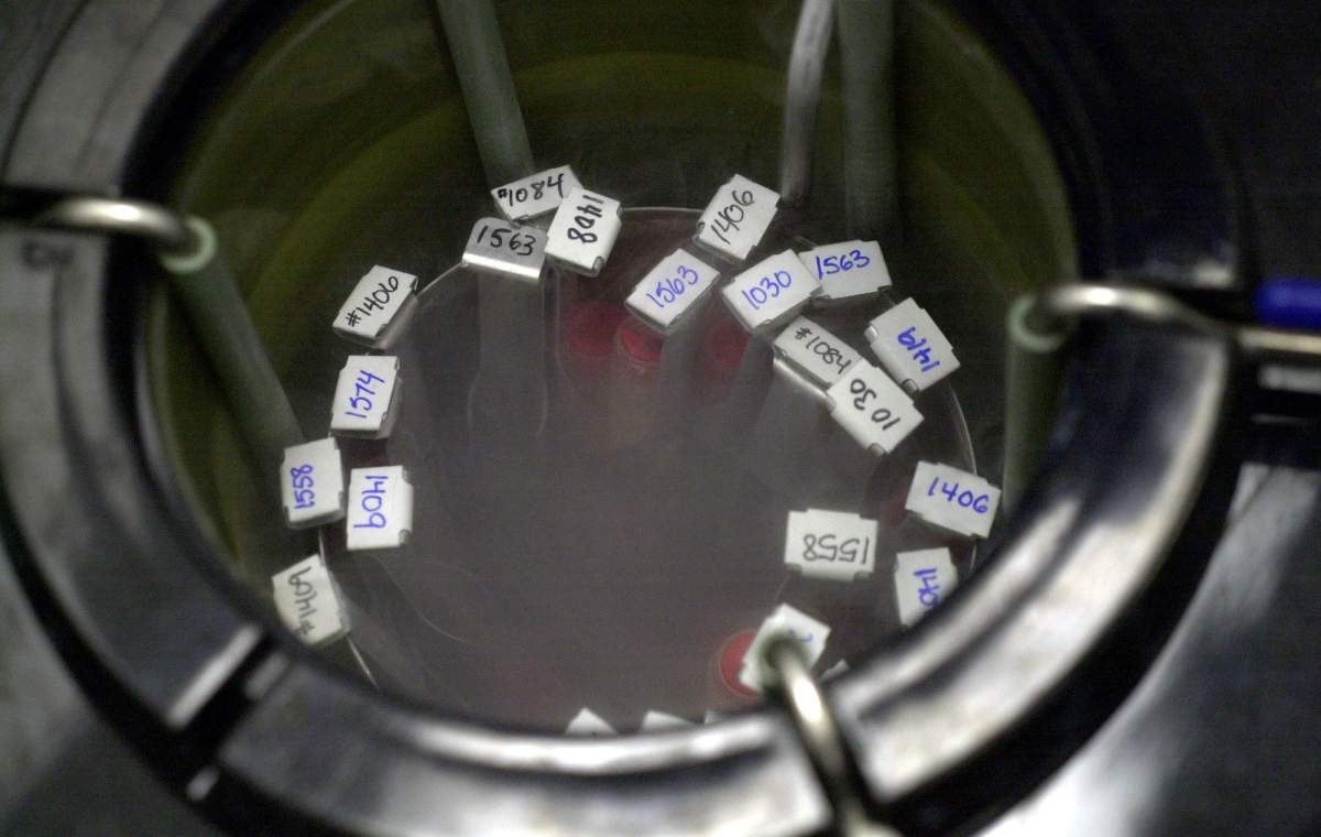 Vials of donor sperm at Can-Am Cryo Services Corp.