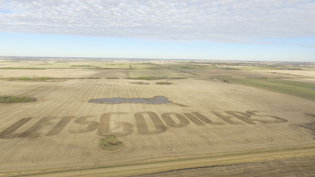 Alberta farmer Kyle Herzog writes "Let's Go Oilers" in a field near Vermilion, May 9, 2017.