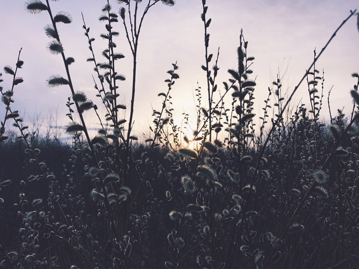 May 6: Stacie Misponas took this Your Saskatchewan photo on the English River First Nation.