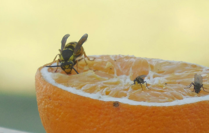 May 18: Jordan Leis took this Your Saskatchewan photo near Perdue.