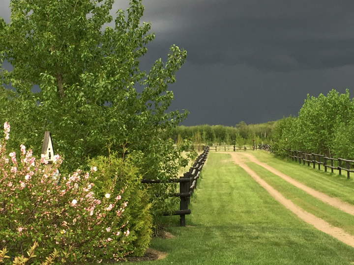 May 29: Wendy Trask took this Your Saskatchewan photo south of Langham.
