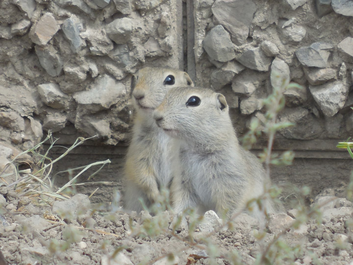 May 30: This Saskatoon Your Saskatchewan photo was taken by Jordan Leis.