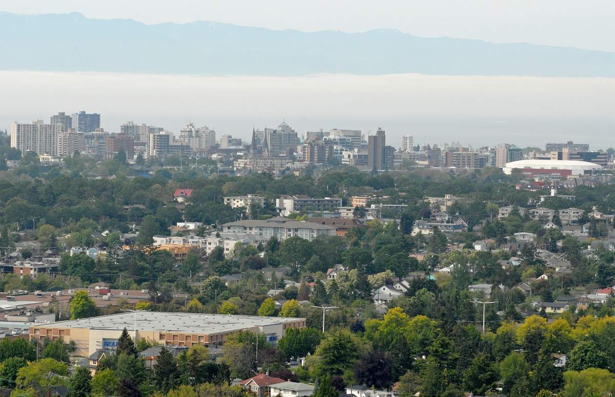 A view across housing to the skyline in downtown Victoria, B.C. from the park on top of Mt. Tolmie.