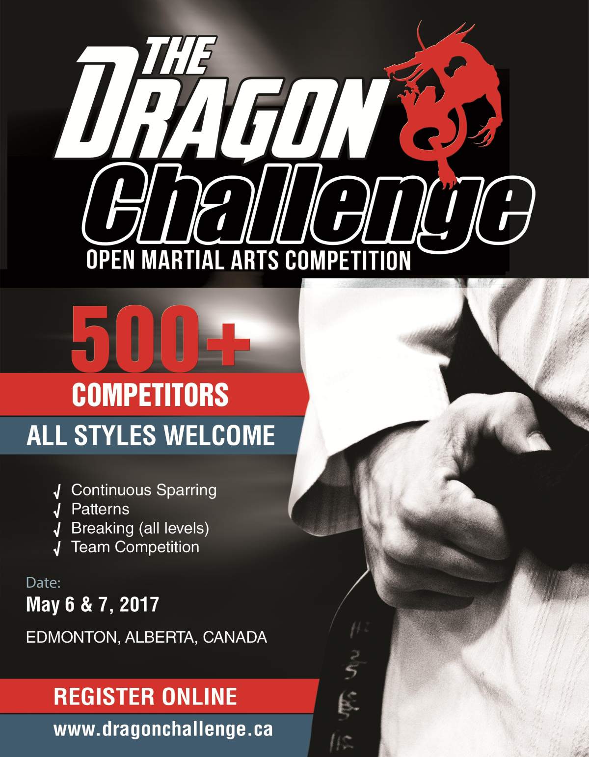 Dragon Challenge Open Martial Arts Challenge - image