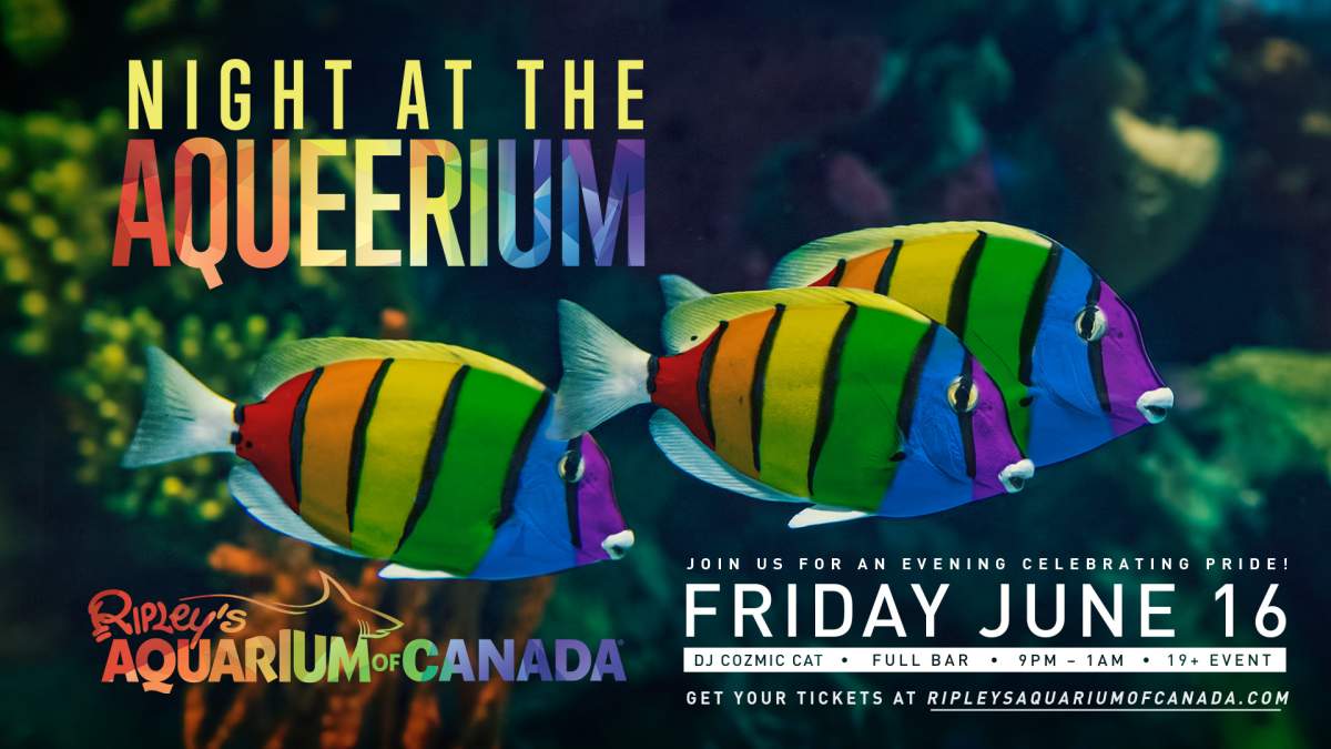 Night at the Aqueerium - image