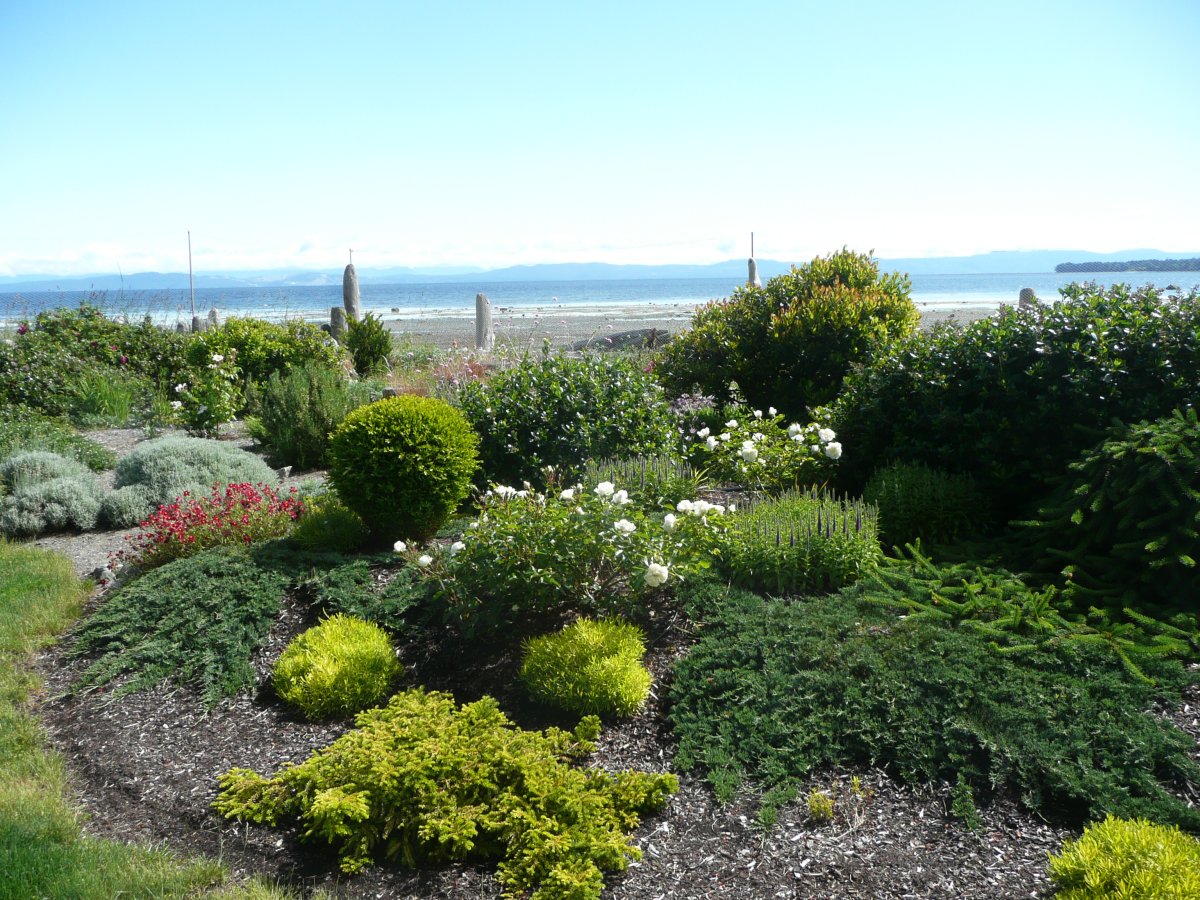 Denman Island Home and Garden Tour - image