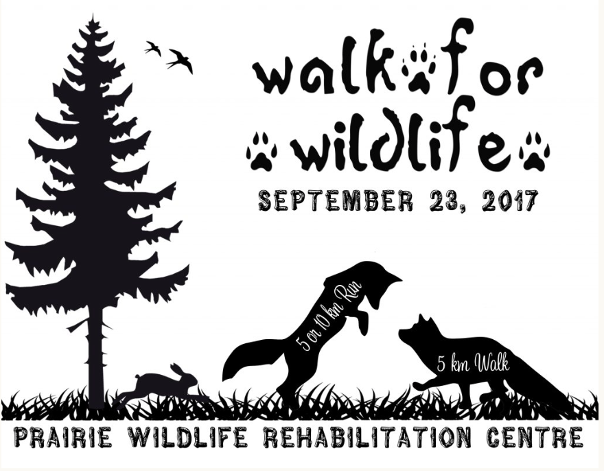 Walk for Wildlife - image