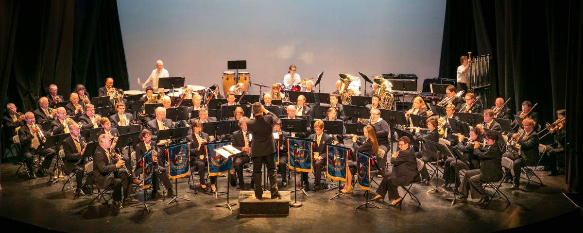 Concerts in the Park - image