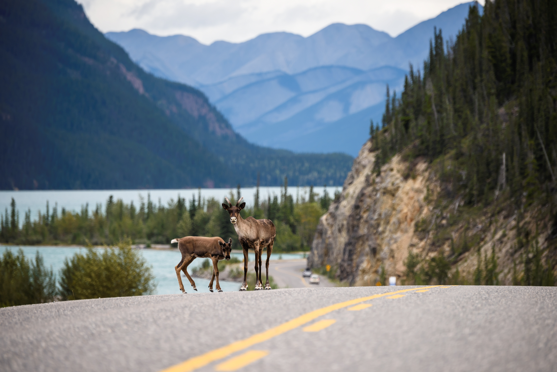 Celebrate The 75th Anniversary Of The Alaska Highway - BC | Globalnews.ca