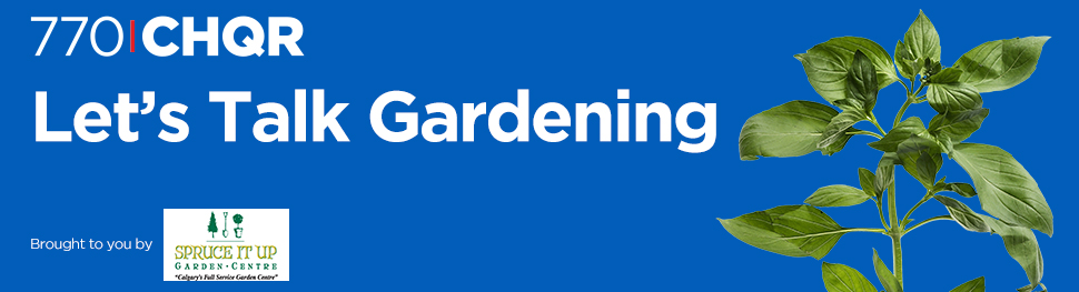 Lets Talk Gardening