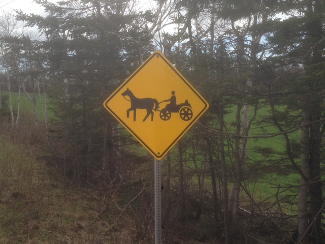 Horse and buggy caution signs have started appearing in eastern Prince Edward Island towns since Amish families from Ontario started moving to the region.