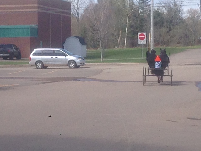 A horse and buggy, belonging to an Amish family, is seen making its way down a street in a Montague, P.E.I.