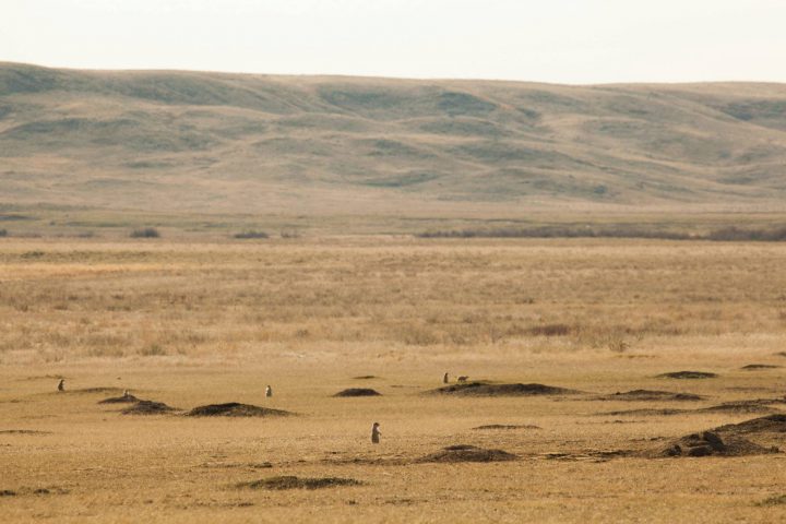 Donald Stoliker, who expressed an interest in hiking the Ecotour Road in Grasslands National Park, is missing.