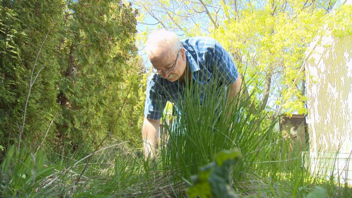 Saskatoon man helping cancer patients find their voice - image