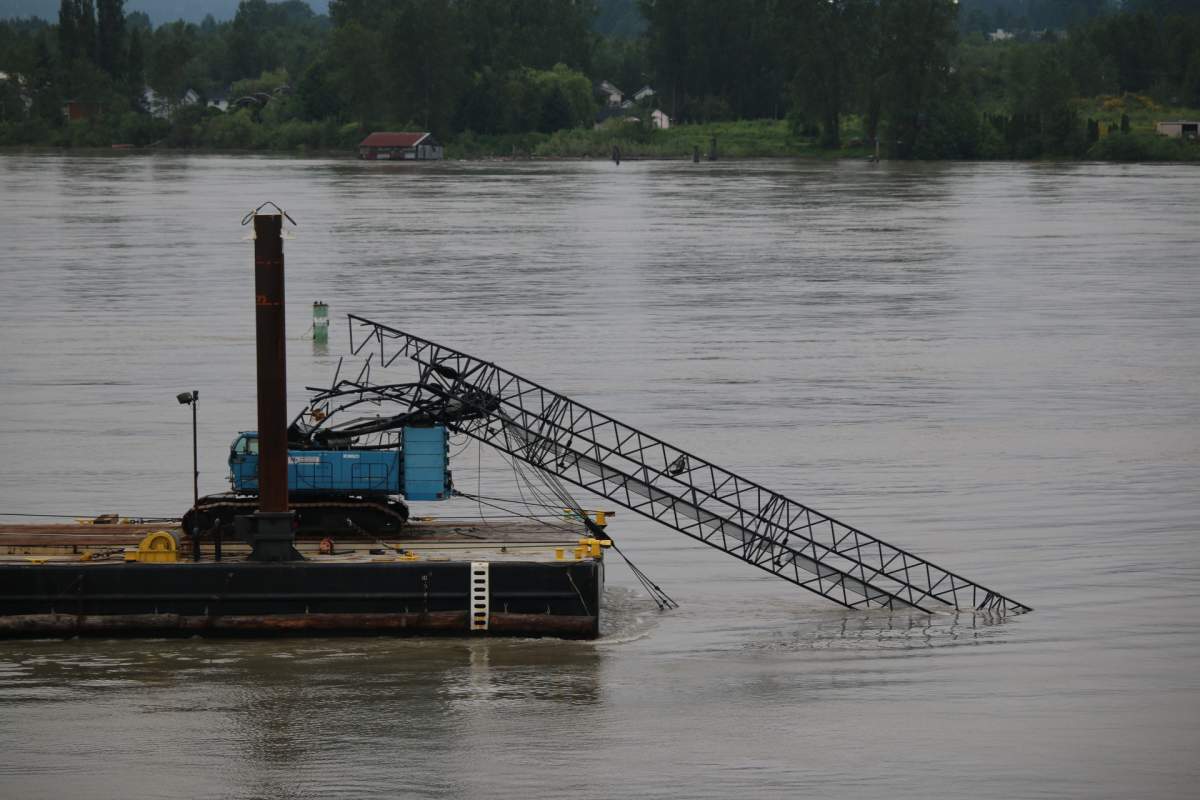 Credit: Ted Field / Global News