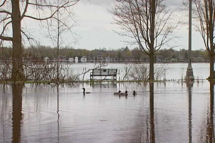 Rising lake levels at Belleville's waterfront park on May 9, 2017.