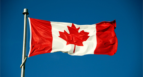 Millwoods Canada Day Celebration - image