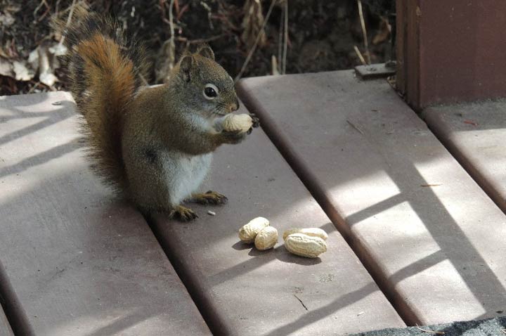 May 13: This Your Saskatchewan photo was taken by Carol Neabel in Cochin.