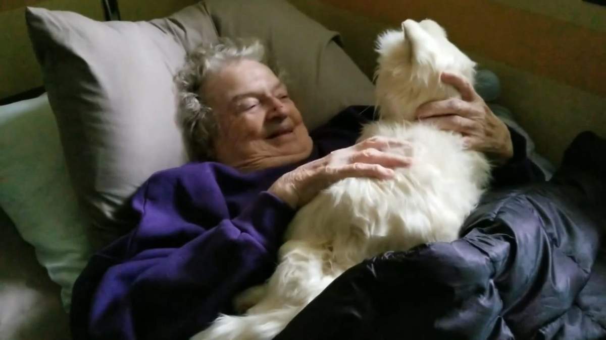 Son gives mother with dementia a robot cat. This is how she reacted - image