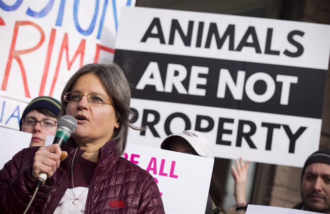 Anita Krajnc demonstrates outside of a courthouse on March 9 in Burlington, Ont.