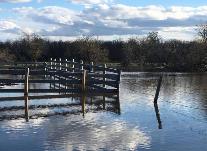 A flood warning was issued for the Whitemud River near the northern Alberta hamlet of Dixonville on Thursday afternoon.