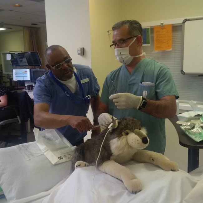 Concordia Hospital staff brightened a patient's day by performing fake surgery on his stuffed animal.