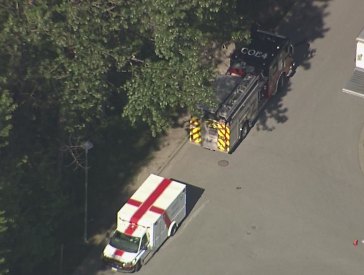Crews are on scene in Coquitlam where a man fell 12 metres.
