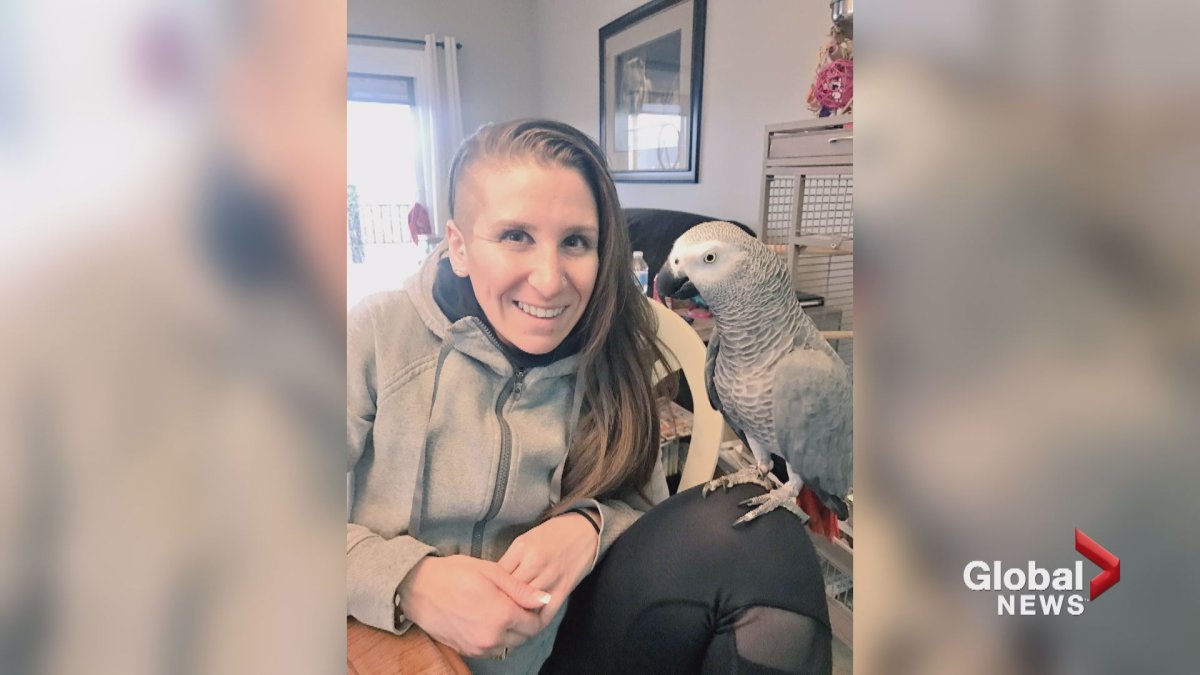 Ivanie Blondin is pictured with her six-year-old African grey parrot that went missing in Calgary on Friday afternoon. 