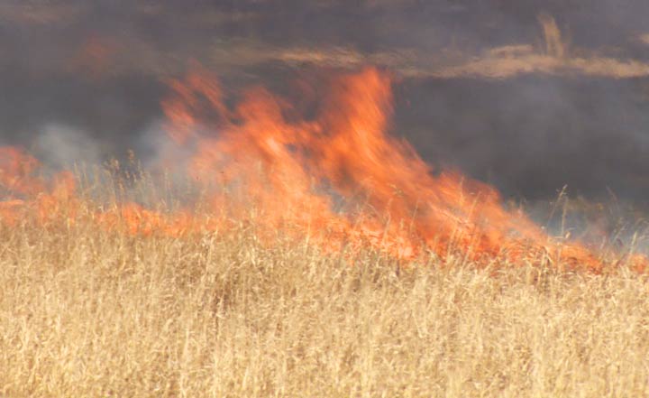 A controlled burn at Pike Lake Provincial Park is starting Tuesday, weather permitting.