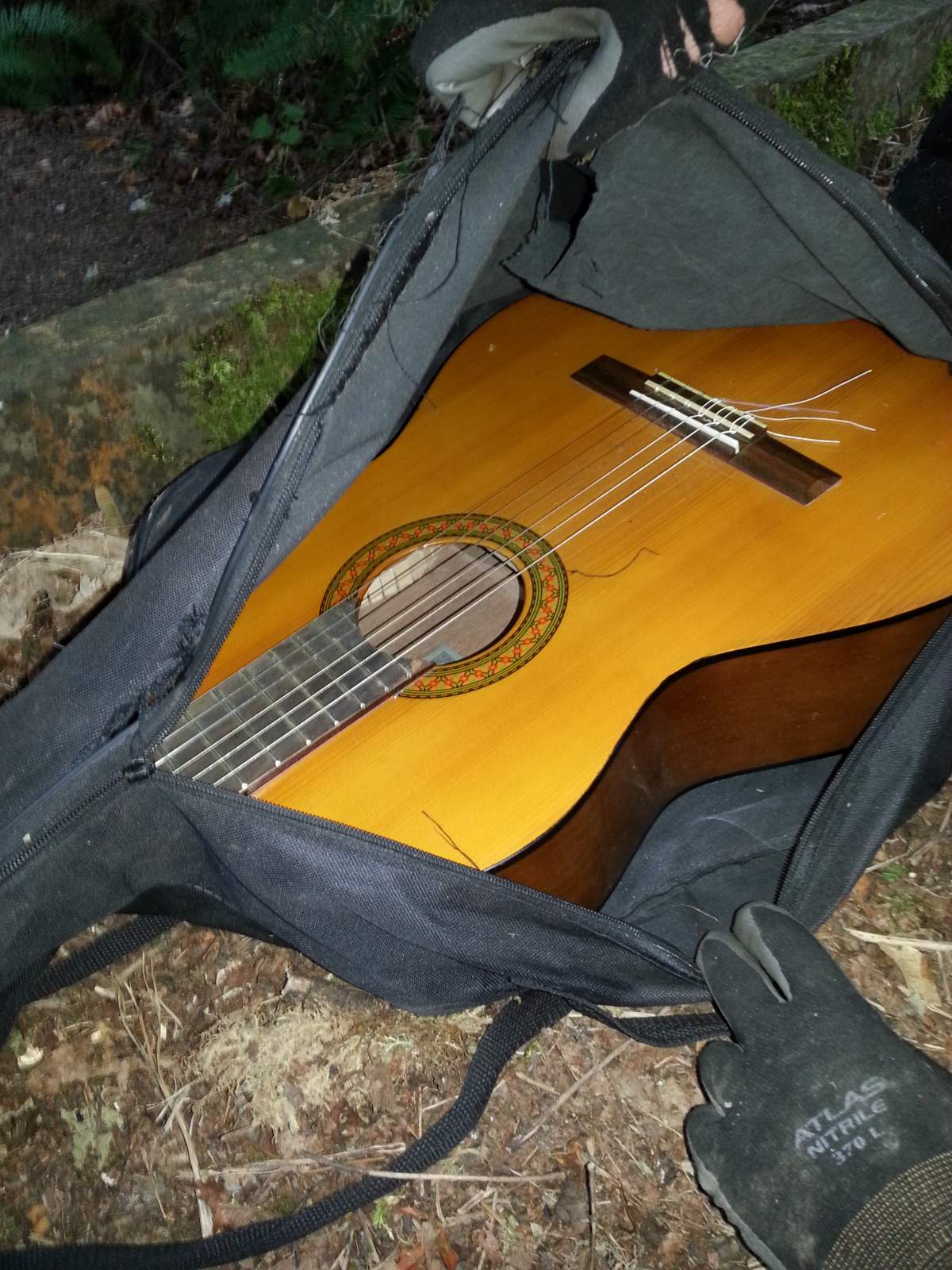 Crime Stoppers: Who would kill the B.C. man known as the ‘Gentle Giant’? - image