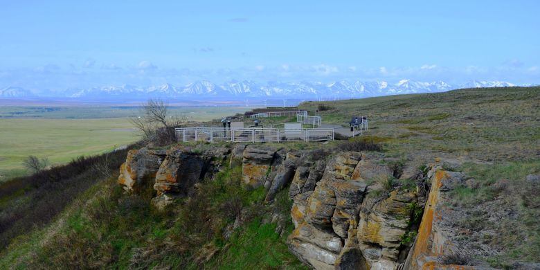 Head-Smashed-In Buffalo Jump heritage site enjoys boost after shout out on 'The Pitt'