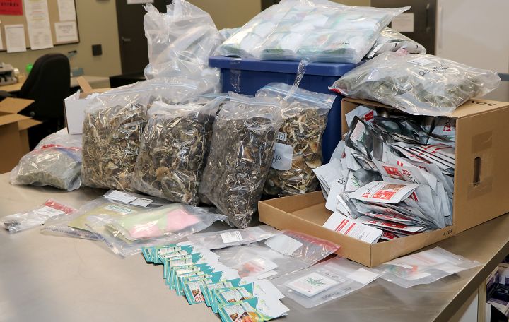 Marijuana and other drugs seized by ALERT Calgary.
