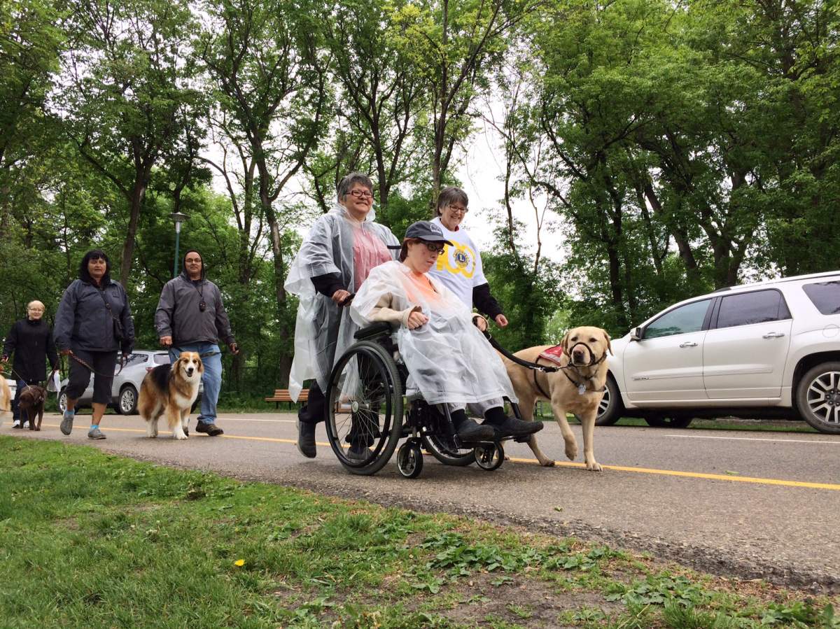 Annual walk for dog guides in Kildonan Park. 