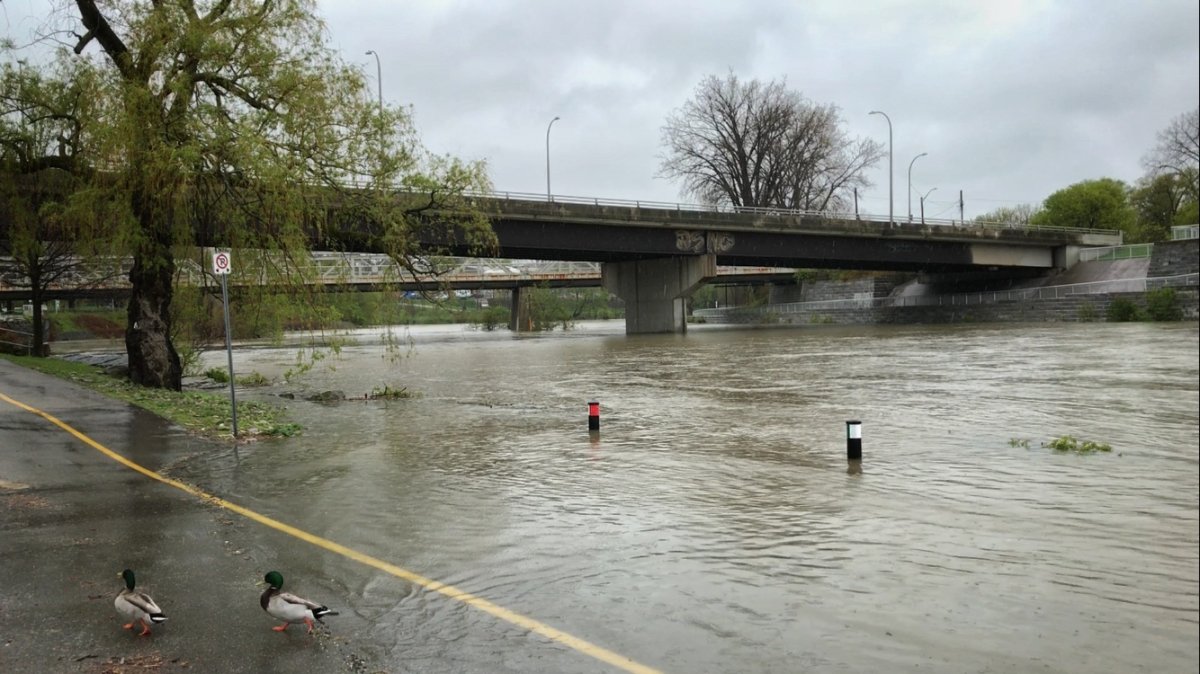 Flooding at Harris Park in London, Ont. on May 5, 2017.