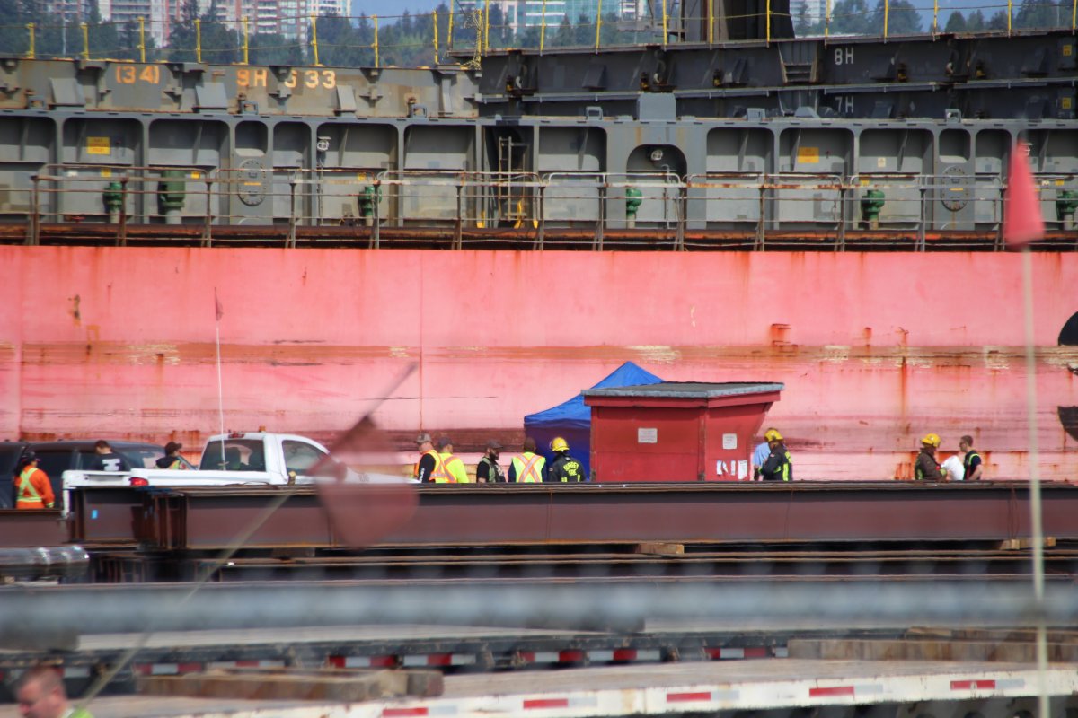 Employees at Fraser Surrey Docks get sick, have to be decontaminated after mould exposure - image