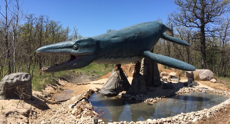 The Tylosaurus is the latest addition to the Dinosaurs Alive! Exhibit at Assiniboine Park Zoo.