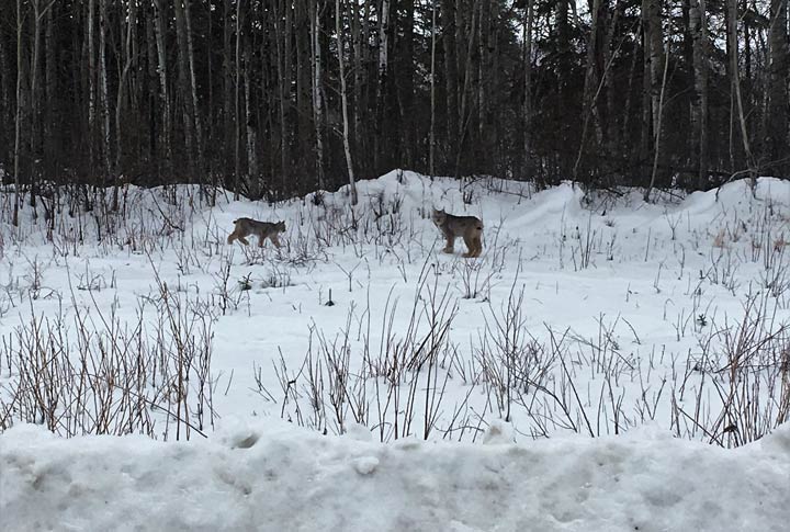 May 3: This Your Saskatchewan photo was taken by Jennifer Stewart-McGillivary at Cumberland House.