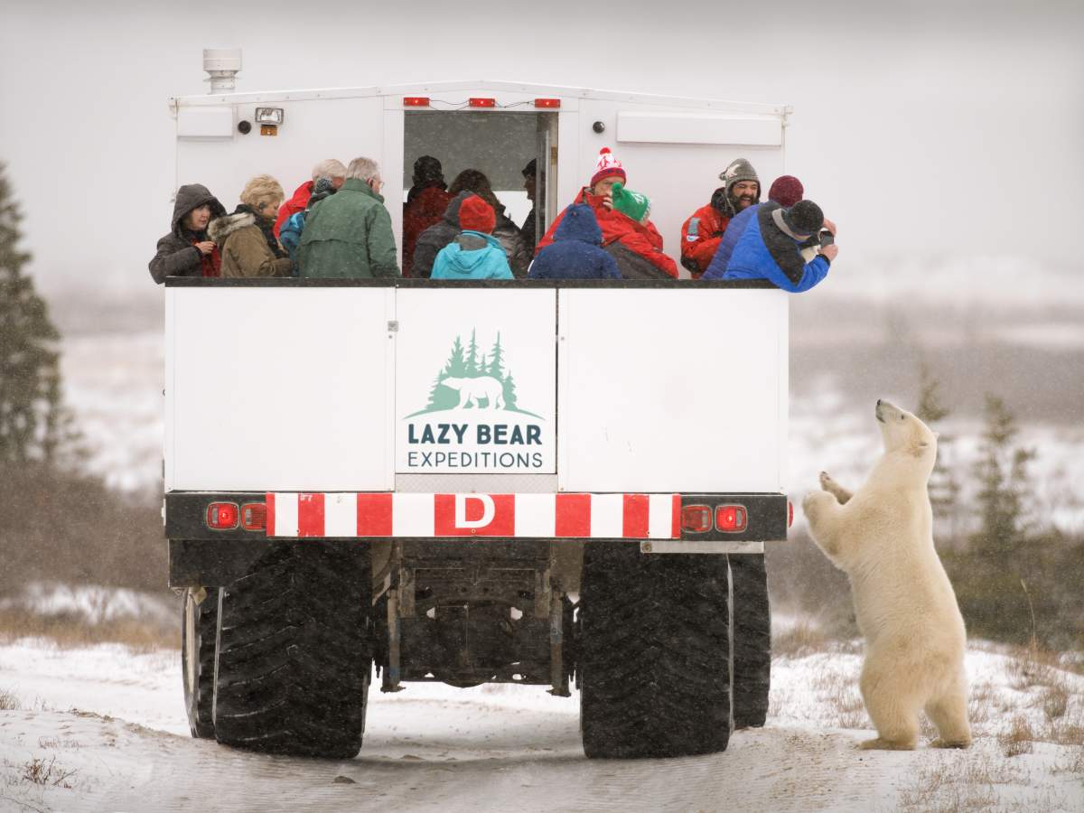 Adventure tours include polar bear and Beluga whale expeditions.
