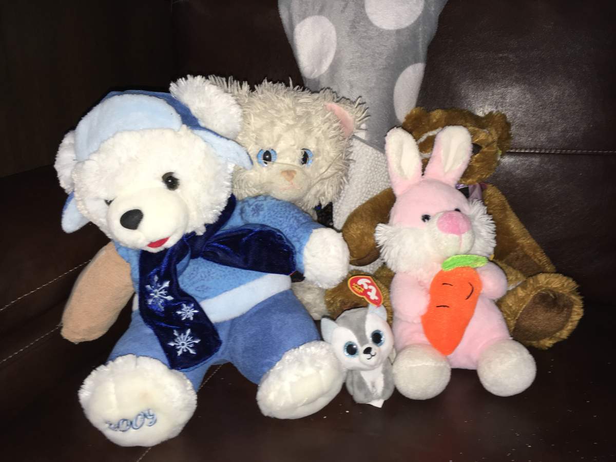 The 31st Teddy Bears’ Picnic took place Sunday. More than 22,000 people showed up for the fun, but some left behind their stuffed animals. 