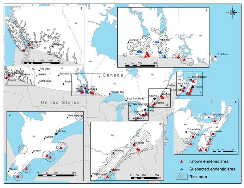 Map: Lyme disease endemic and risk areas in CanadaSource: Public Health Agency of Canada