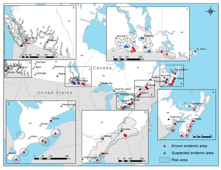 More ticks means an increase of Lyme disease across Canada — thanks to ...