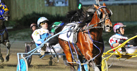 Harness racing at the Western Fair Raceway.