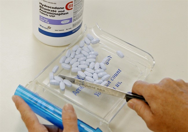 In this Aug. 5, 2010 file photo, a pharmacy tech poses for a picture with hydrocodone bitartrate and acetaminophen tablets, the generic version of Vicodin.