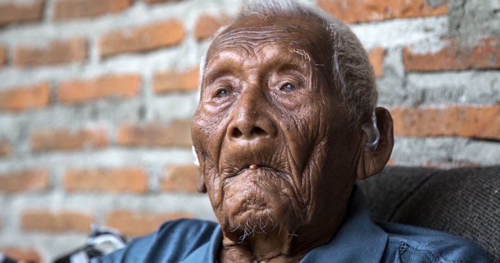 Человек проживший 900 лет. Самый старый человек в мире Мбах. Сапарман Содимеджо долгожитель.