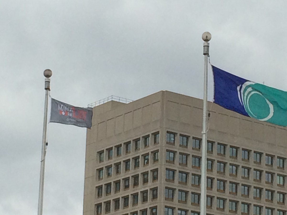 Anti-abortion flag taken down from Ottawa City Hall - image